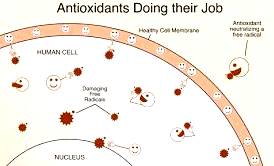 Figure 3: Free Radicals