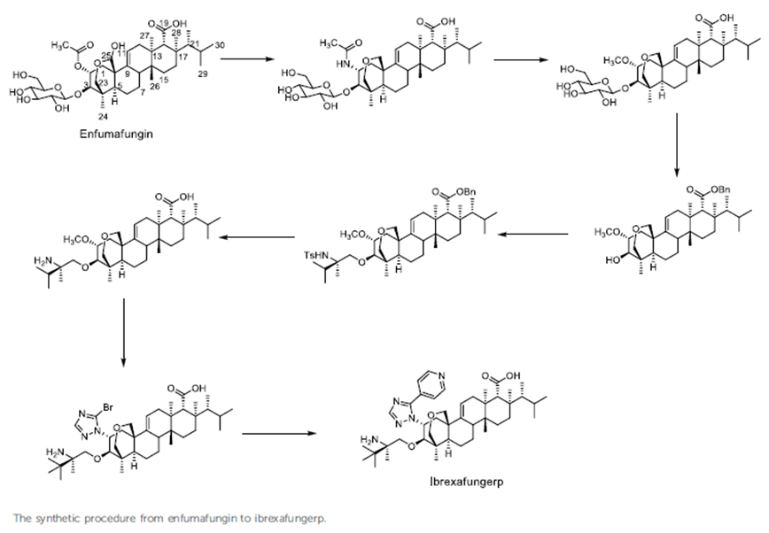 Figure 6: Some antifungal drugs that inhibit the synthesis of β- (1, 3) - D-glucan