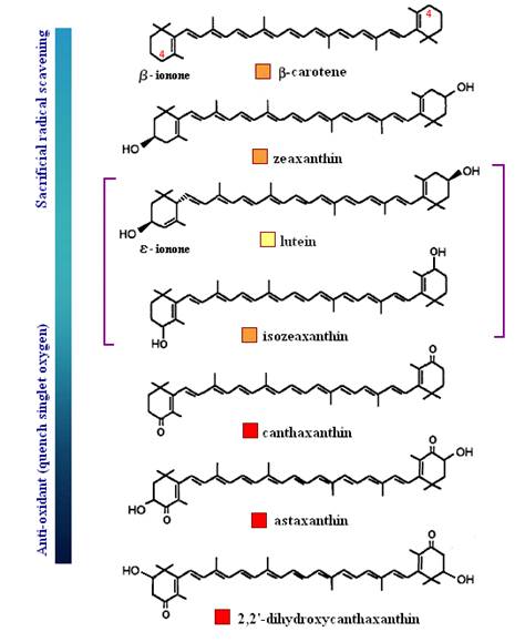 Figure 2: Antioxidants
