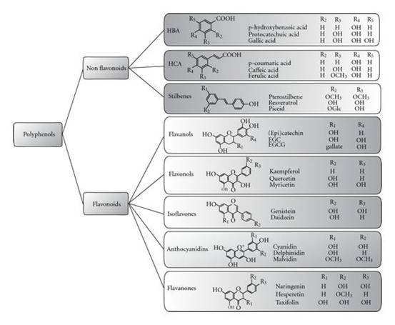 Figure 4: Antioxidants