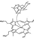 Figure 4: The story of Artemisinin-a natural anti malarial drug